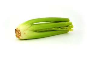 8183-celery-isolated-on-a-white-background-pv