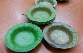 leaf dinnerware