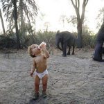 real-life-mowgli-tippi-degre-african-wildlife-15