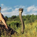 real-life-mowgli-tippi-degre-african-wildlife-4