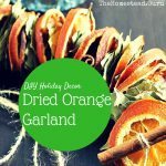 diy holiday dried orange garland