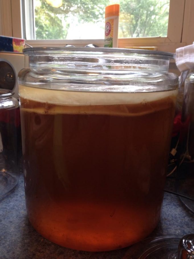How to Brew Your Own "Elixir of Immortality" » HG