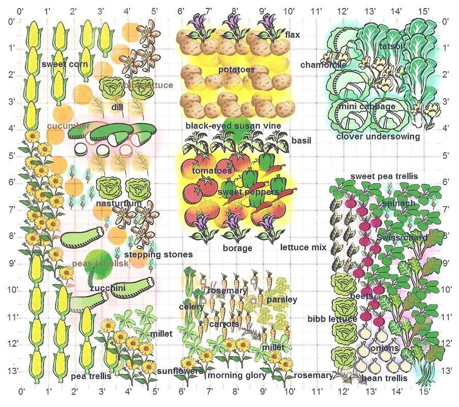 companion planting design