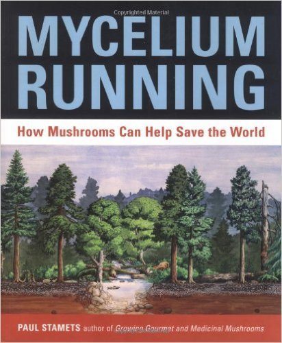 plants communicate mycelium