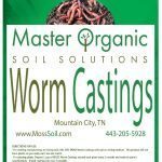 worm casting