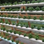vertical-hydroponic-system-11