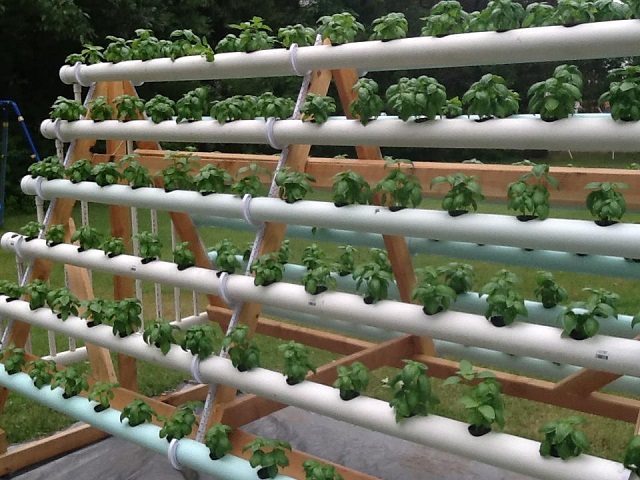 vertical hydroponics system