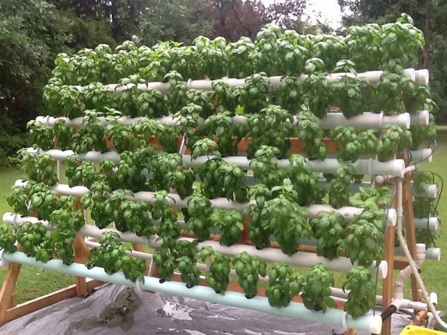 vertical hydroponics system