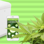 seedo-lab-marijuana-cannabis-appareil-connecté-technologie-sans-pression-plante-floraison