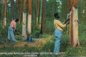 Five Reasons to Get Naked in Your Garden | Homestead Guru