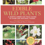 wild edible foods