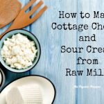 Raw Milk Cottage Cheese