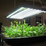 indoor garden lights Best of hydroponic lighting options dambly s garden center