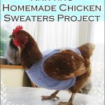 Knitting-Homemade-Chicken-Sweaters-Project