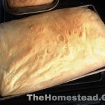 Homemade Organic Bread Recipe