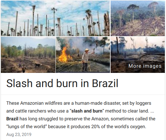 permaculture brazil fires
