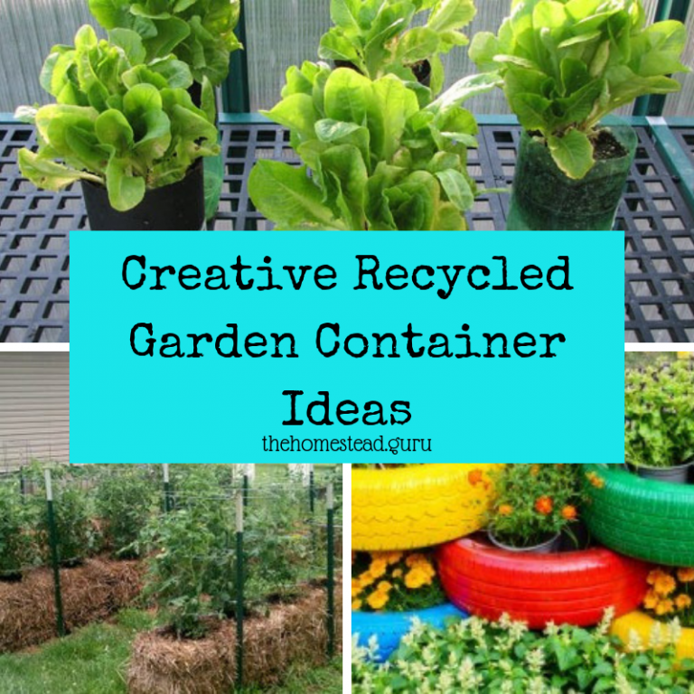 Creative Garden Container Ideas DIY Recycled HG   Creative Recycled Garden Container Ideas 768x768 