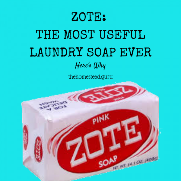 Zote Soap The MOST Useful Soap EVER » HG