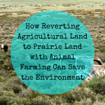 How Reverting Agricultural Land to Prairie Land with Animal Farming Can Save the Environment