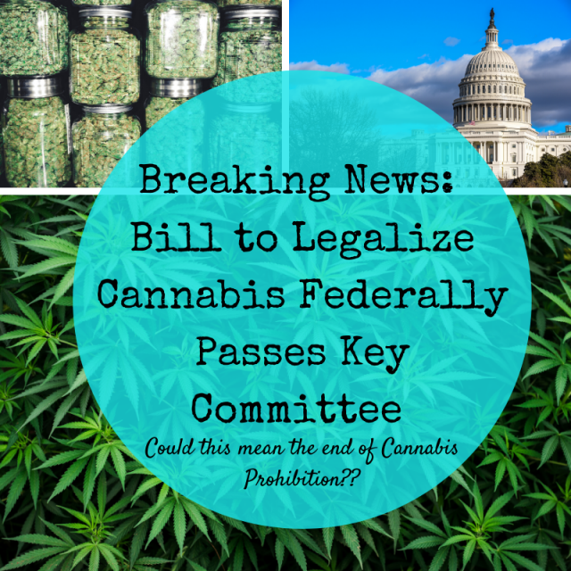 Breaking : US Government Moves To Legalize Cannabis » HG