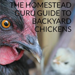 catherine bleish chicken ebook homestead guru