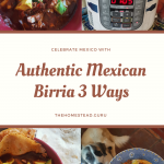 Authentic Mexican Birria 3 Ways (1)