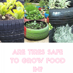 are tires safe to grow food in