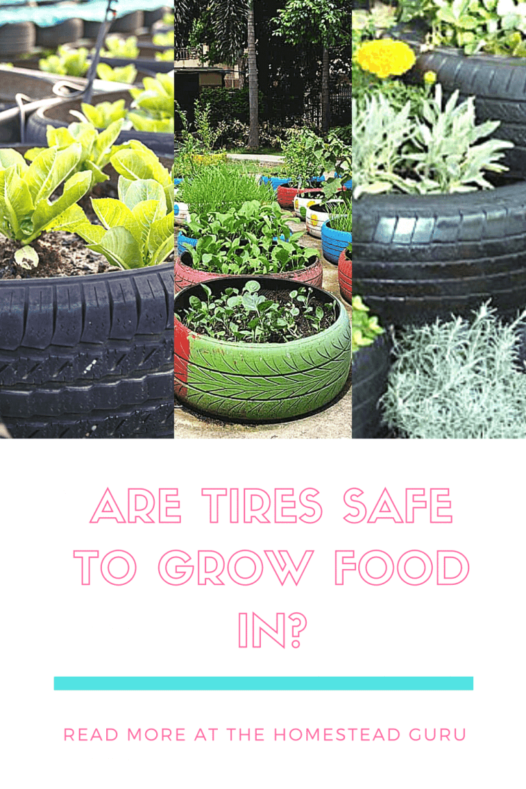Are Tire Gardens Toxic? A Wheely Good Safety Analysis » HG