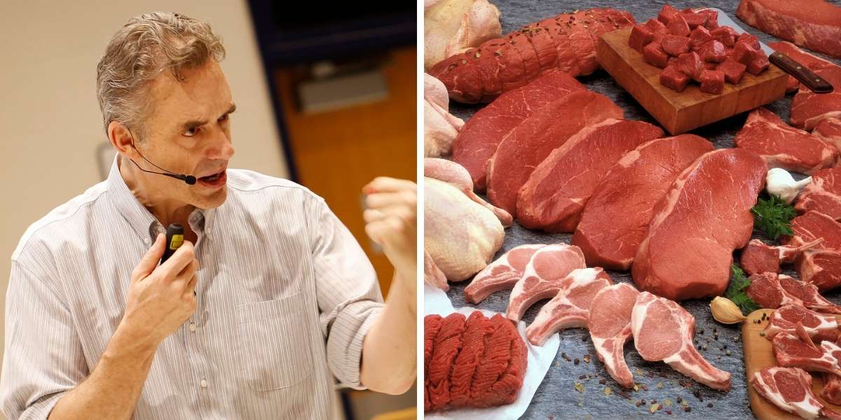 how-jordan-peterson-saved-my-life-with-the-carnivore-diet-hg